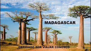 MADAGÁSCAR [upl. by Ivon]