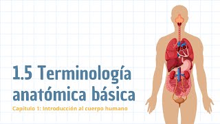 Terminología anatómica  Posiciones Planos Cortes Cavidades Regiones y Cuadrantes [upl. by Edea]