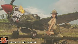 Eduard 132 P40N Warhawk review [upl. by Ramedlab]