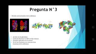 trabajo de bioquimica enzima aldolasa [upl. by Sena62]