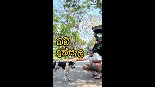 පෝය දවසෙ අපි ගියා බව්වන්ට කන්න දෙන්න 🐶🐾 [upl. by Durrej]