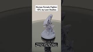 Human Female Fighter  STL by Loot Studios Printed by Guffs Stuff Using Elegoo Mars 5 Ultra Printer [upl. by Ralston]