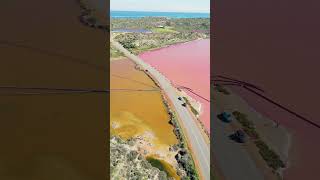 Pink Lake Western Australia pinklake westernaustralia shorts travel dreamwork [upl. by Lleze]