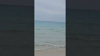 Sa Coma  Majorca majorca holidays beach beachlife reels asmr viral subscribe [upl. by Ecilegna]