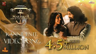 Kannil Ente Video Song  Vineeth Sreenivasan  Swetha Mohan  Pranav Mohanlal  Kalyani Priyadarshan [upl. by Adnirb]