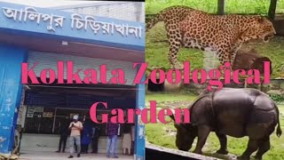 Alipore Zoological Garden আলিপুর চিড়িয়াখানাKolkata santali vlog Rupen63 [upl. by Onaicnop100]