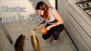 Paté di pollo per gatti la ricetta [upl. by Noah]