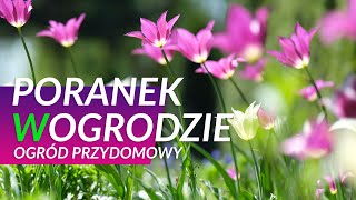 Ogród przydomowy  Poranek w ogrodzie  odc 3 [upl. by Nref]