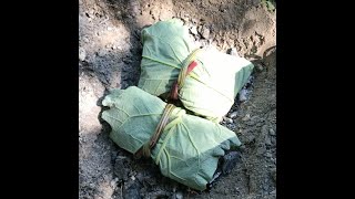 Campfire Baked Burdock Leaf Wrapped Fish [upl. by Sabina]