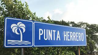 Punta herrero [upl. by Nyladnor]