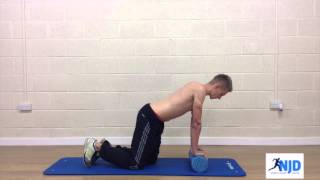 Serratus Anterior Strengthening upper back posture [upl. by Nelleeus719]