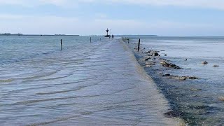 La Vendée et le passage du Gois  La mer commence à envahir la route Août 2024 [upl. by Hurd]