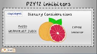 P2Y12 Receptor inhibitors [upl. by Mountford]