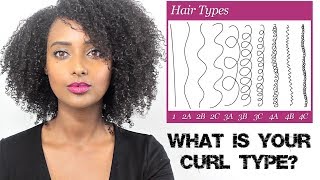 What Is Your Hair Type Curl Type Pattern  Hair Texture  Hair Porosity  Hair Density [upl. by Bliss]