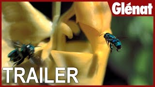 ZOOM SUR LA PLANETE  Trailer  Les abeilles [upl. by Enilec]