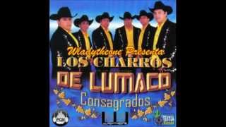 Aquel Inmenso Amor Los Charros De Lumaco Consagrados [upl. by Nimzzaj123]