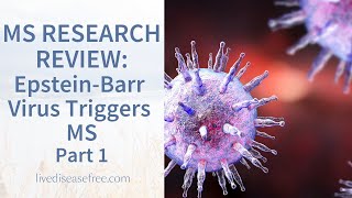 Study Suggests EpsteinBarr Virus Triggers the Onset of Multiple Sclerosis  Part 1  Pam Bartha [upl. by Cohe]