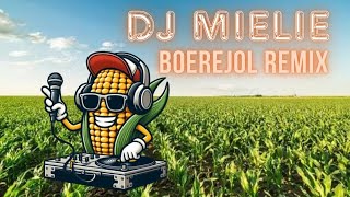 Boerejol  Die Ventertjies Kosie Beukes amp Kannie Warries Dansorkes DJ MIELIE REMIX [upl. by Trudey620]