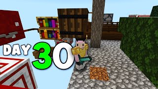 Minecraft Mega Block Survival Day 30 [upl. by Hafeenah]