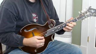 Mandolin Lesson  bluegrass lick in G [upl. by Azeria669]