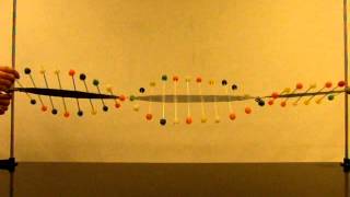 Third Harmonic Standing Wave [upl. by Blakely]