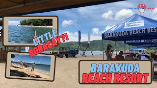 BARAKUDA BEACH RESORT BRGY CALAYO NASUGBU BATANGAS FIRST EVER TRAVEL VLOG [upl. by Sorce]