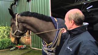 Showjumping  Michael Whitaker At Home  February 2010 [upl. by Andres924]