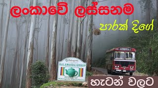 විවිධත්වයෙන් පිරි පාරක් දිගේ හැටන් වලට  Most diversified bus route [upl. by Eilrebmik]