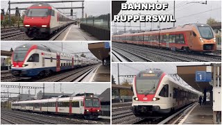 Züge beim Bahnhof Rupperswil  Trains at Rupperswil station 2023 [upl. by Ilenna]