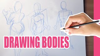 Drawing Bodies Anatomy Made Easy StepbyStep Tutorial [upl. by Lightman840]