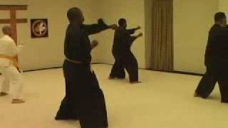 Dr Moses Powell Professor James Simms Quiet Storm Dojo [upl. by Canning]