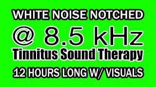 White Noise  Notch Filtered at 85 kHz for Tinnitus Therapy w Visuals [upl. by Orva9]