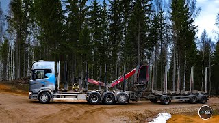 Logging pulpwood in unknown forest [upl. by Ardnuahc815]