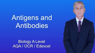 A Level Biology Revision quotAntigens and Antibodiesquot [upl. by Ecnaralc146]