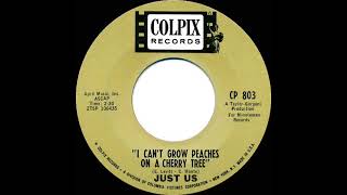 1966 HITS ARCHIVE I Can’t Grow Peaches On A Cherry Tree  Just Us mono 45 [upl. by Shrier871]