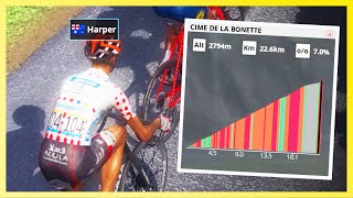 KING OF THE MOUNTAINS  Tour de France 2024 Preview on Pro Cycling Manager 2024 [upl. by Nnagrom706]