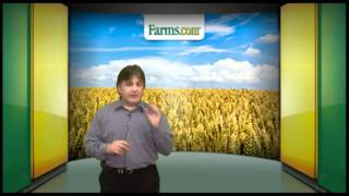 Farmscom Market School How Grain Prices Are Determined [upl. by Kellyann]