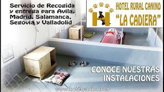 Instalaciones del Hotel Rural Canino La Cadiera Residencia Canina en Avila [upl. by Ury]