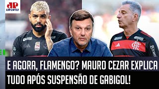 BASTIDORES quotA SITUAÇÃO É ESSA Se o Gabigol DE FATO FOR SUSPENSO o Flamengoquot Mauro Cezar FALA [upl. by Sldney]