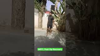 MPFL surgery Ligament surgery knee pain surgery knee ligament surgery mpflinjury [upl. by Tenej]