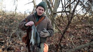 Flintlock Squirrel Hunt 59 Yard Head Shot [upl. by Dorehs946]