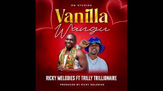 RICKY MELODIES ft TRILLY TRILLIONAIRE  VANILLA WANGU  OFFICIAL AUDIO [upl. by Nodrog181]