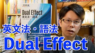 Dual Effect 英文法・語法【英語参考書ラジオ】 [upl. by Mauldon448]