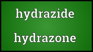 Hydrazide hydrazone Meaning [upl. by Honorine779]