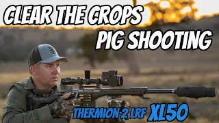 Clear the Crops  Feral Pig amp Fox Shooting  308Win Rifle amp Thermion 2 LRF XL50  Wedgetail Hawk [upl. by Eehtomit]