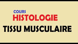 cours HISTOLOGIE Ep3  Tissu musculaire [upl. by Kermie]