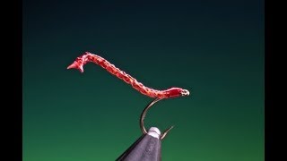 Tying a free swimming blood worm with Barry Ord Clarke [upl. by Hobart]