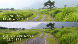 Carl Zeiss Distagon T28 21 ZF 2 vs FOUR LENSES （Nikon Voigtlander Olympus） [upl. by Midian798]