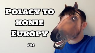 Naśmiewanie się z POLAKÓW w norweskich filmach😮🇳🇴  81 Nowy w Norwegii Vlog [upl. by Einnol326]