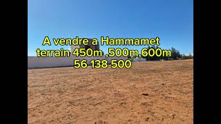 A vendre terrain de 450 à Hammamet sud [upl. by Doowle]